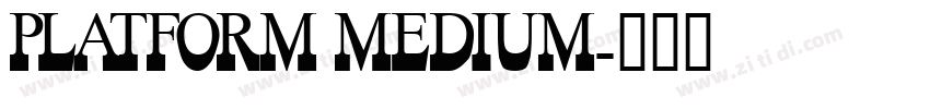 Platform Medium字体转换